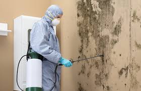 Best Mold Remediation for Rental Properties  in Aurora, SD